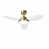 Gold/White