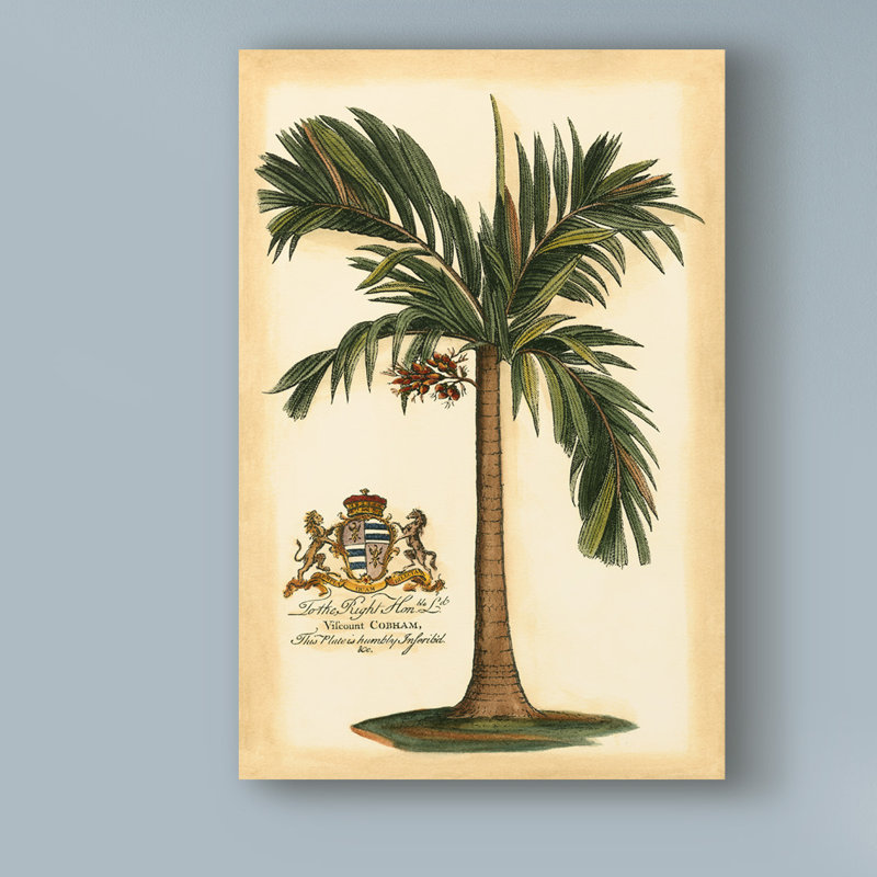« british colonial palm i », reproduction d’impression sur toile tendue, H 24 po x l 16 po x P 2 po