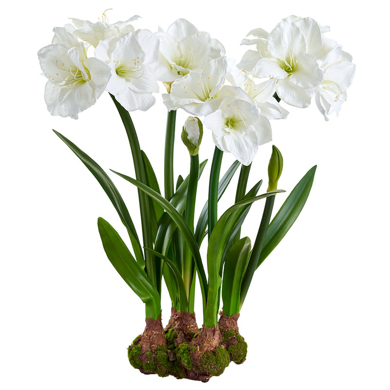 Faux amaryllis avec ampoule et mousse