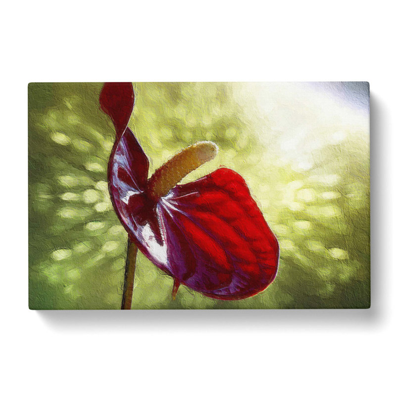 Anthurium Flower - Wrapped Canvas Painting, 35cm H x 50cm W x 3cm D