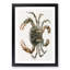 Lady Crab by J.E. De Kay - Picture Frame Painting Print-55582368-55582369