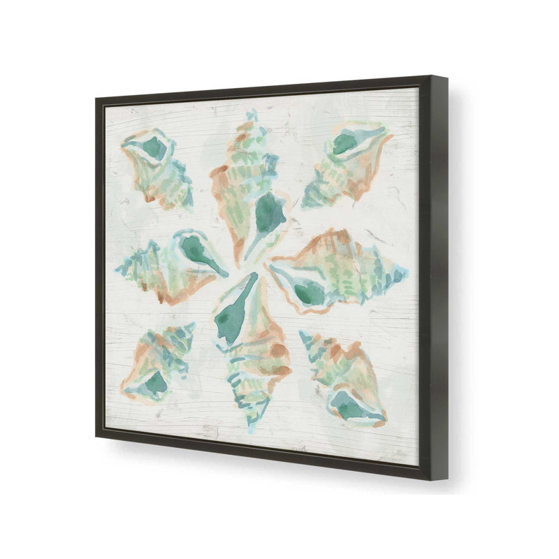 Reproduction d'art «Saltwashed Shells II» par June Erica Vess, Noir, H 12 po x l 12 po