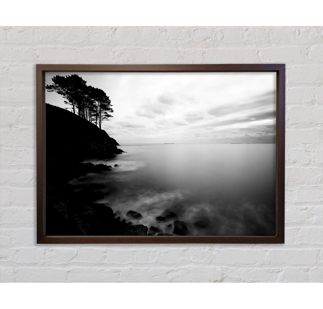 Tree Top Ocean Calm B N W - Einzelbildrahmen Kunstdrucke auf Leinwand