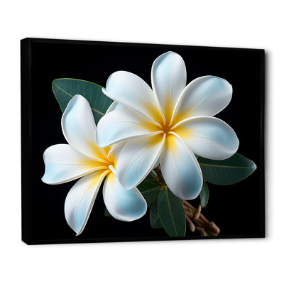 " Plumeria Charming Elegance I "
