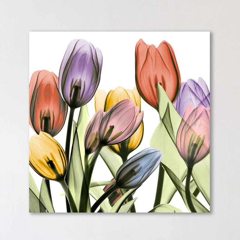 Tulipscape 2 - Wrapped Canvas Print, 30cm H x 30cm W
