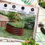 Boîte à fleurs surélevée brune galvanisée de 3,5 pi x 2 pi 1,4 pi Lit de jardin surélevé en métal pour l'extérieur. Bordure et auto-vidange. Assemblage bricolage simple. Pour les fleurs, le lit de légumes et d'herbes, l'installation en boîte.