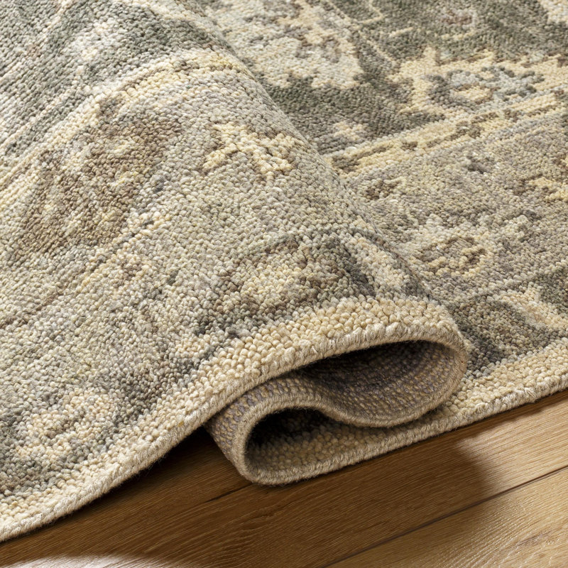 Biscayne Wool Oriental Area Rug, Rectangle 2' x 3'