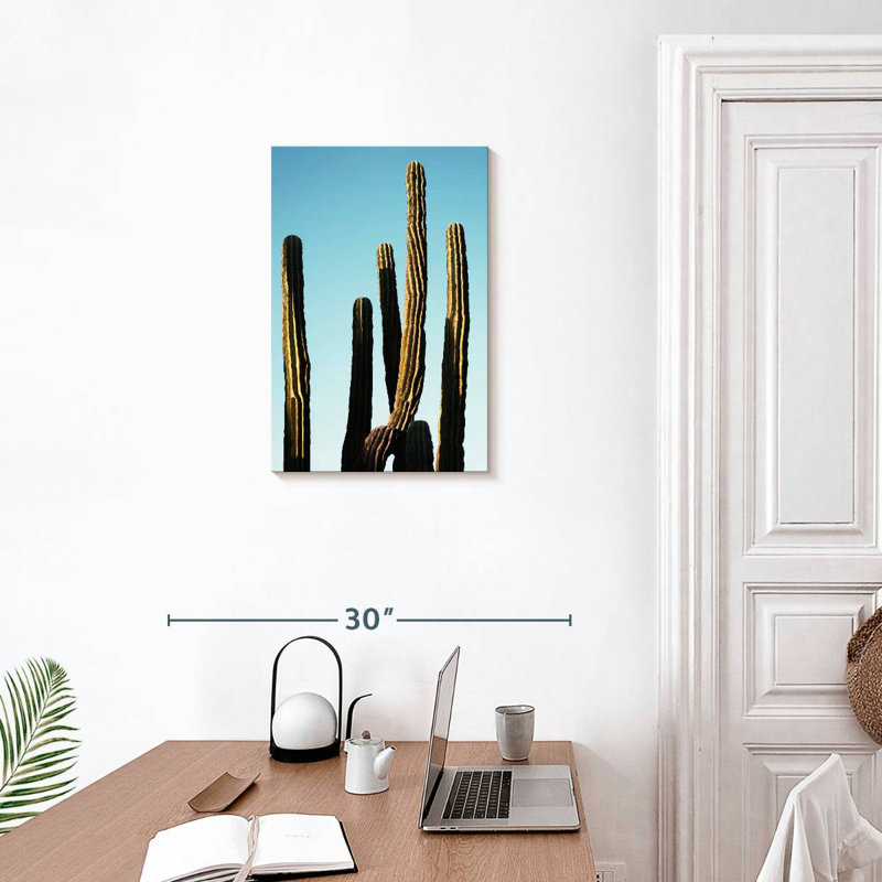 Cactus dorés Harnek, H 24 po x l 16 po