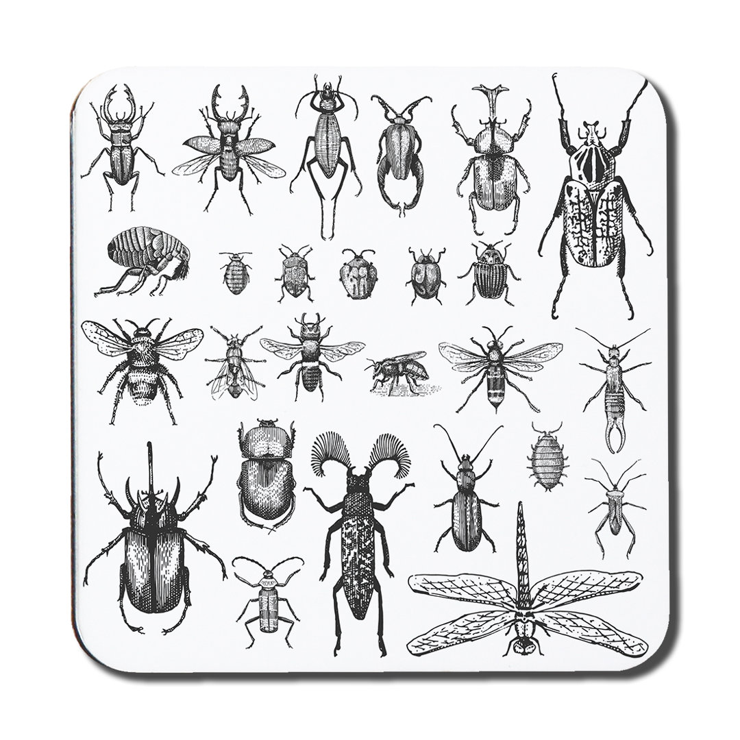 Drabic Insects Bugs Beetles and Bees Coaster