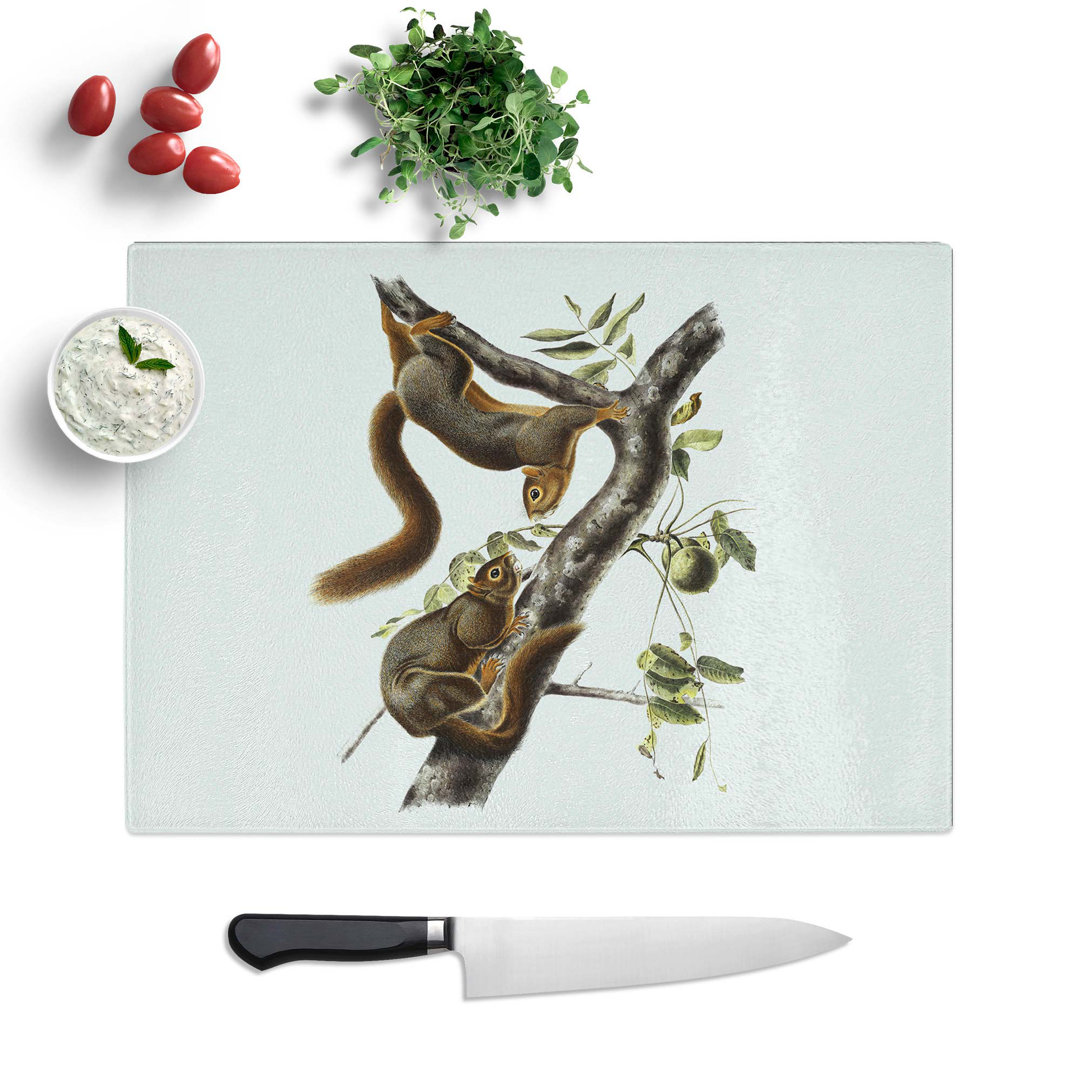 Tempered Glass Squirrels by J.W. Audubon Chopping Board
