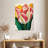 Cheery Tulip-923895558