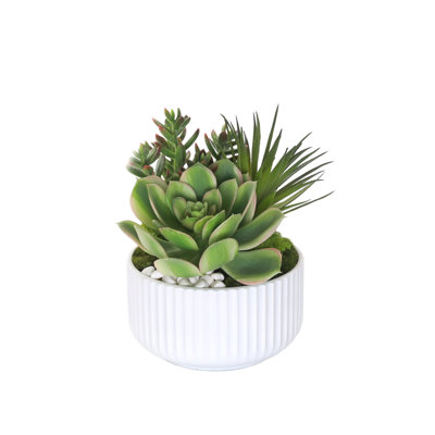 Faux Succulent