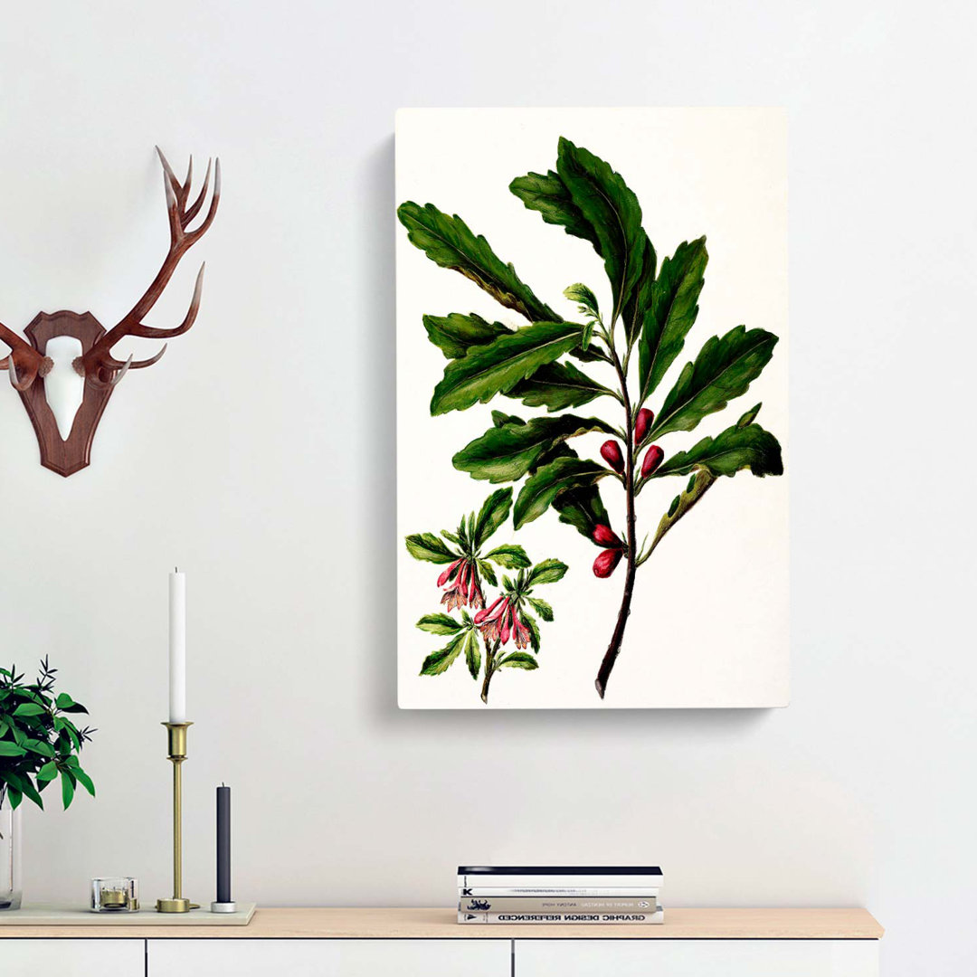 Toropapa Flowers by Sarah Featon - Wrapped Canvas