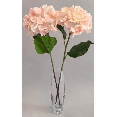 SPRAY D'HYDRANGEA