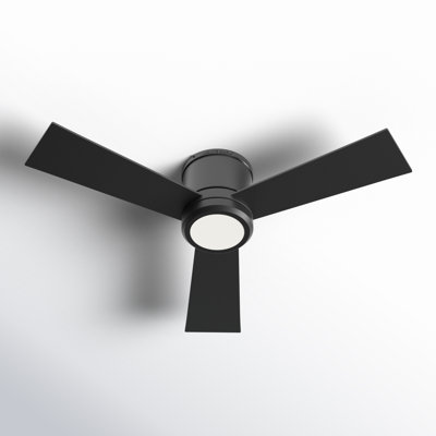 Rodrick Ceiling Fan with LED Lights