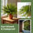 3 Pack Artificial Boston Fern Bush, UV-Resistant Fake Green Fern Greenery for Home & Outdoor Decor