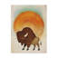 « éblouissante sun bison », art sur toile-31978229
