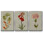 Botanical Array IV - 3 pièces d'une seule photo sur toile-97759176-97759177