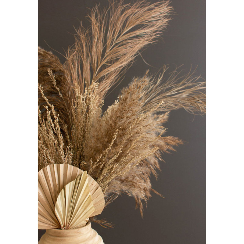 39'' Pampas Grass Grass