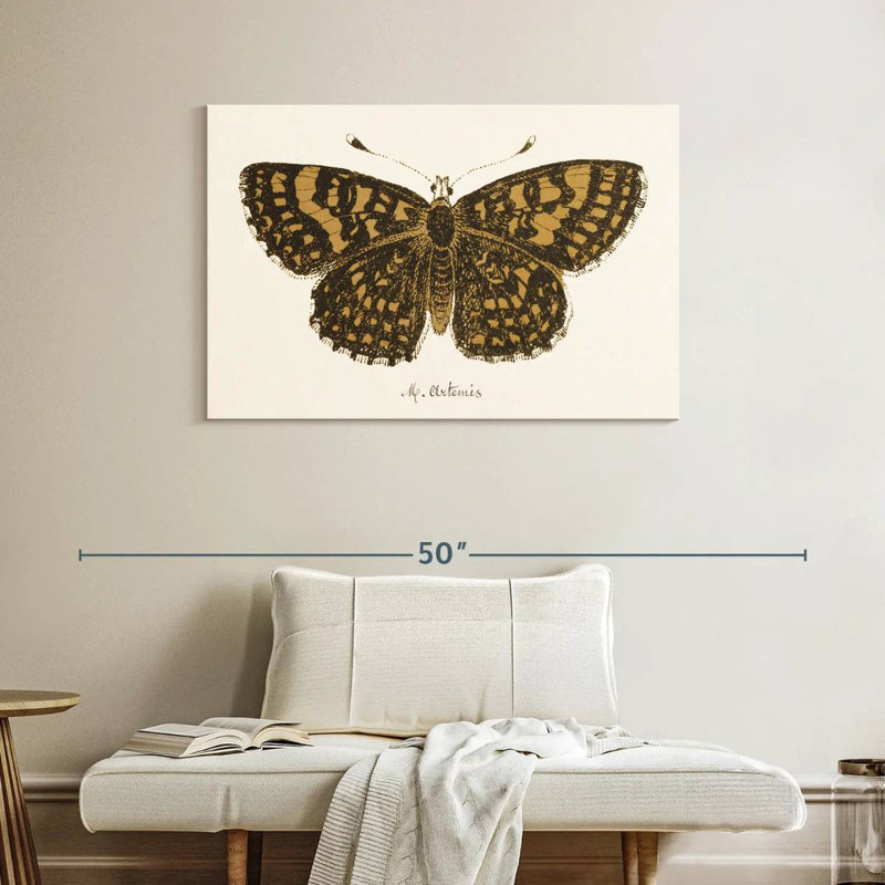 Antique Butterfly II, 26" H x 39" W