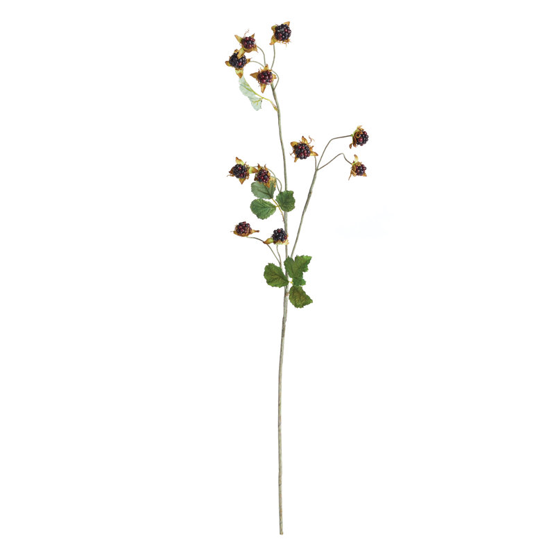 WILD BLACKBERRY STEM 31", Black