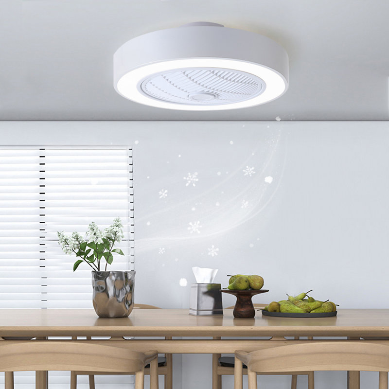 55cm Ceiling Fan with LED Lights