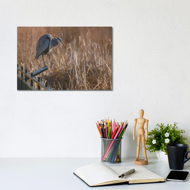 Blue Heron on Reader Board 1 Piece Wrapped Canvas Wall Art, 20.32 cm H x 30.48 cm W