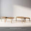Ensemble de 2 tables basses gigognes -706527766