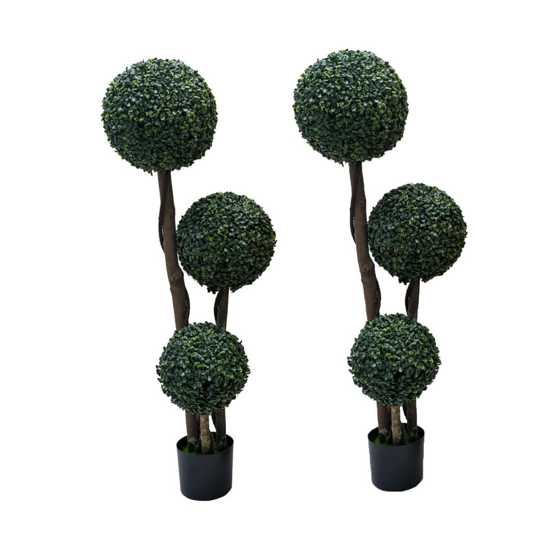 89cm Plant