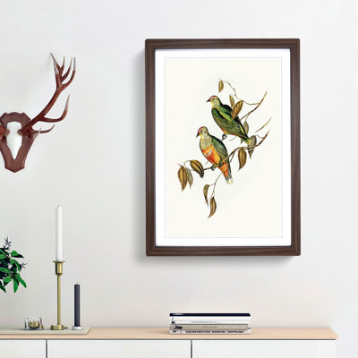 Ewing's Fruit Pigeons by Elizabeth Gould - Picture Frame Painting Print