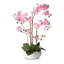 Arrangement de soie orchidée en pot-823644235