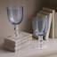 Glass Wine Glass-1891928053