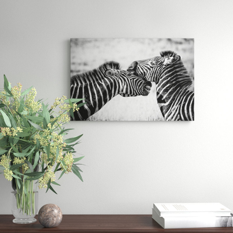 Zebra Wildlife - Wrapped Canvas, 35cm H x 50cm W