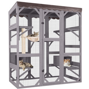 Enceinte d'extérieur pour chat Catio