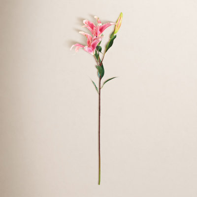 Lily Floral Stems
