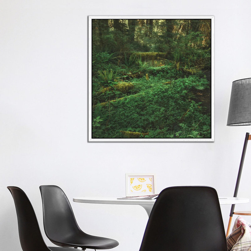 Olympic Rain Forest 1 Piece Wall Art on Canvas, 93.98 cm H x 93.98 cm W, White Framed
