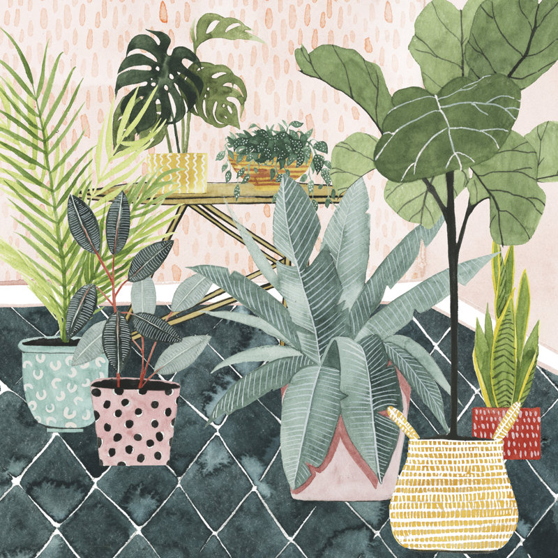 Modern Jungle I by Grace Popp - Wrapped Canvas Painting, 51cm H x 51cm W x 3.8cm D