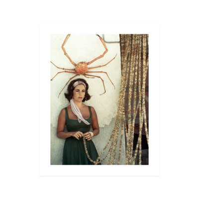 Thoughtful Elizabeth Taylor  Unframed Photograph