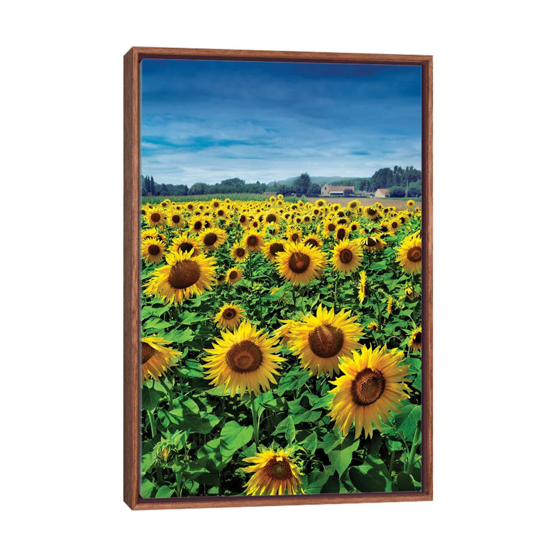 Turn Your Face To The Sun by Ben Heine - Print on Canvas, 66.04 cm H x 45.72 cm W, Classic Brown Wood Framed