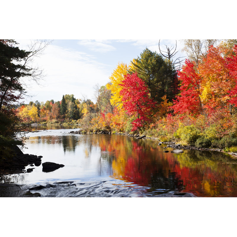 Autumn In Ontario - Wrapped Canvas Print, 30cm H x 46cm W x 3.8cm D