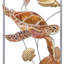 Wall Decor on Metal
