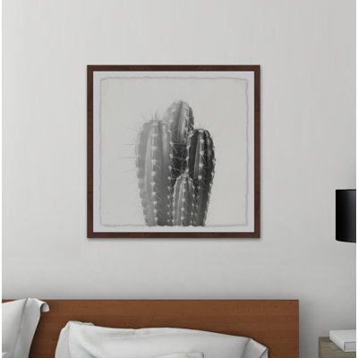 «Four Cacti», reproduction d'art graphique sur papier