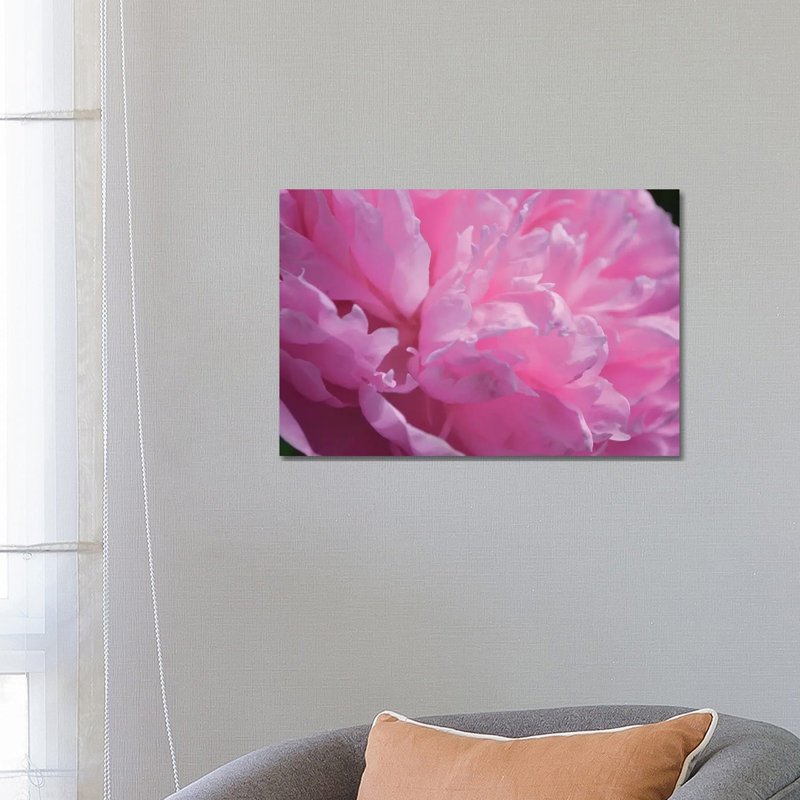 Pastel Peony by Michelle Calkins - Wrapped Canvas Print