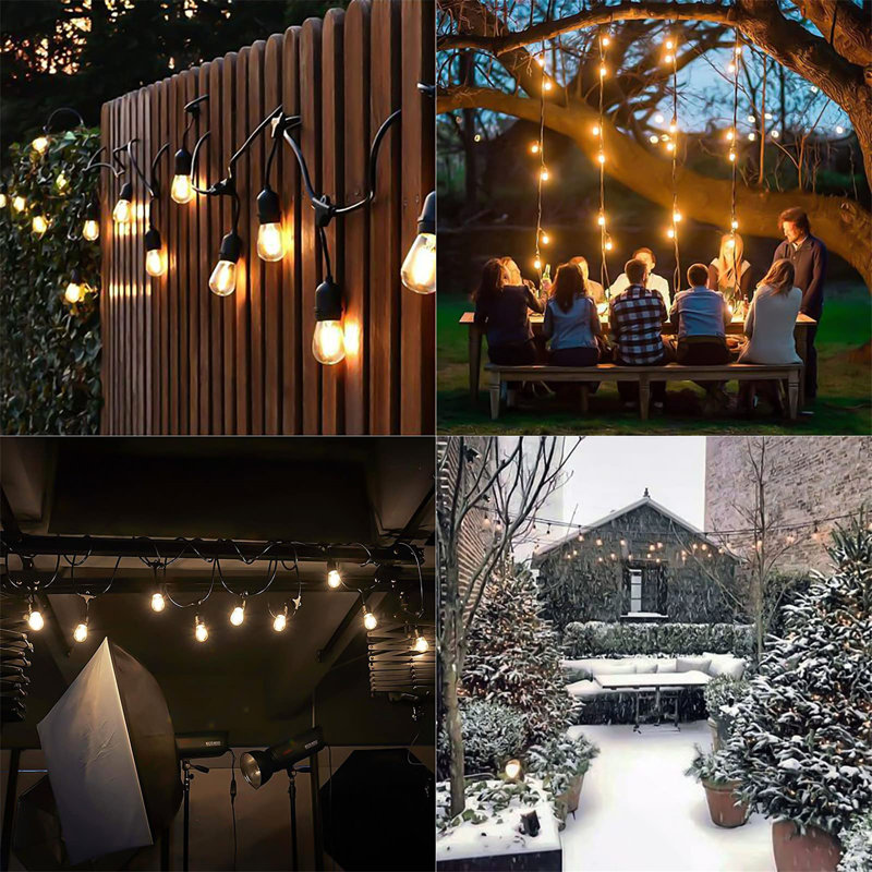Chantina 4.5cm 15 - Bulb Globe String Light