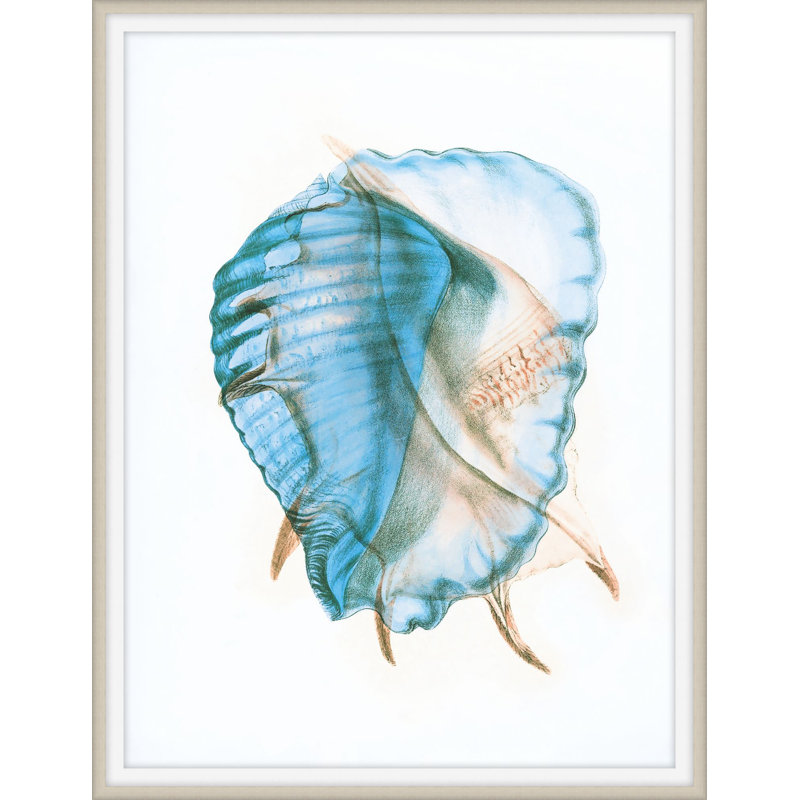 Colors Of The Sea 2 Print by Art House Studios, 33" H x 26" W x 1" D
