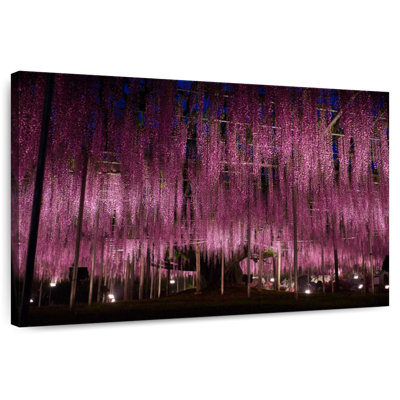 Jardin Harnek Wisteria