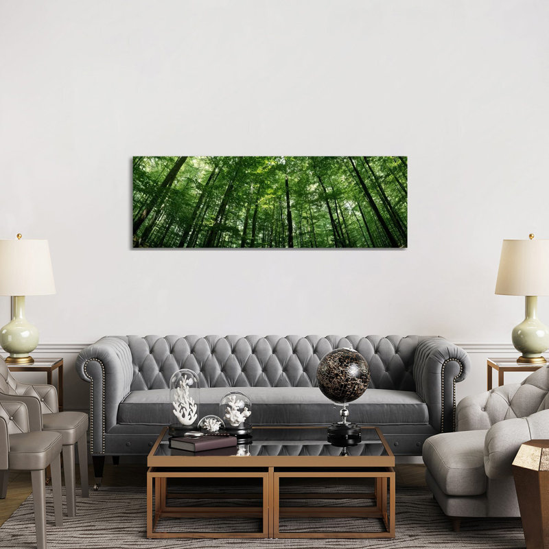 Low Angle View Of Beech Trees, Baden-Wurttemberg, Germany #2 - Wrapped Canvas Panoramic Print
