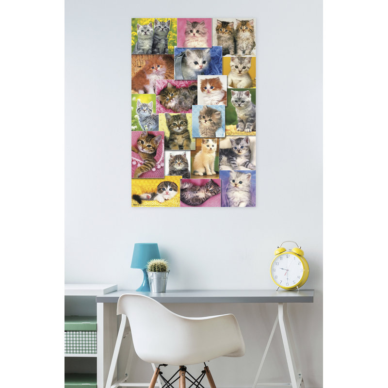 Impression sur papier 2 chatons