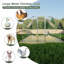 Grand poulailler en cage-1457408616
