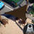 Triangle Shade Sail-91150470-91150466